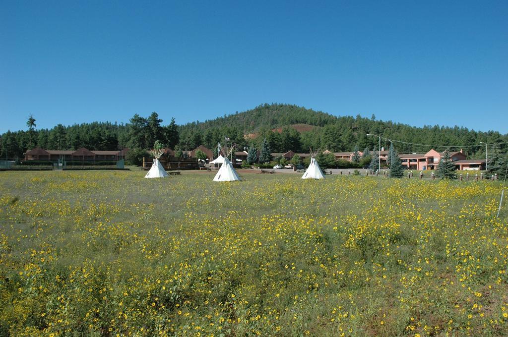 Mountain Ranch Resort At Beacon Hill Williams Zewnętrze zdjęcie